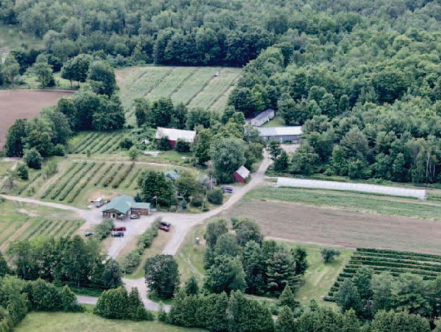 Aerial shot of farm