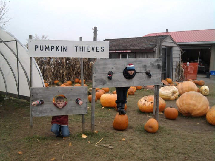 pumpkin school tour pic