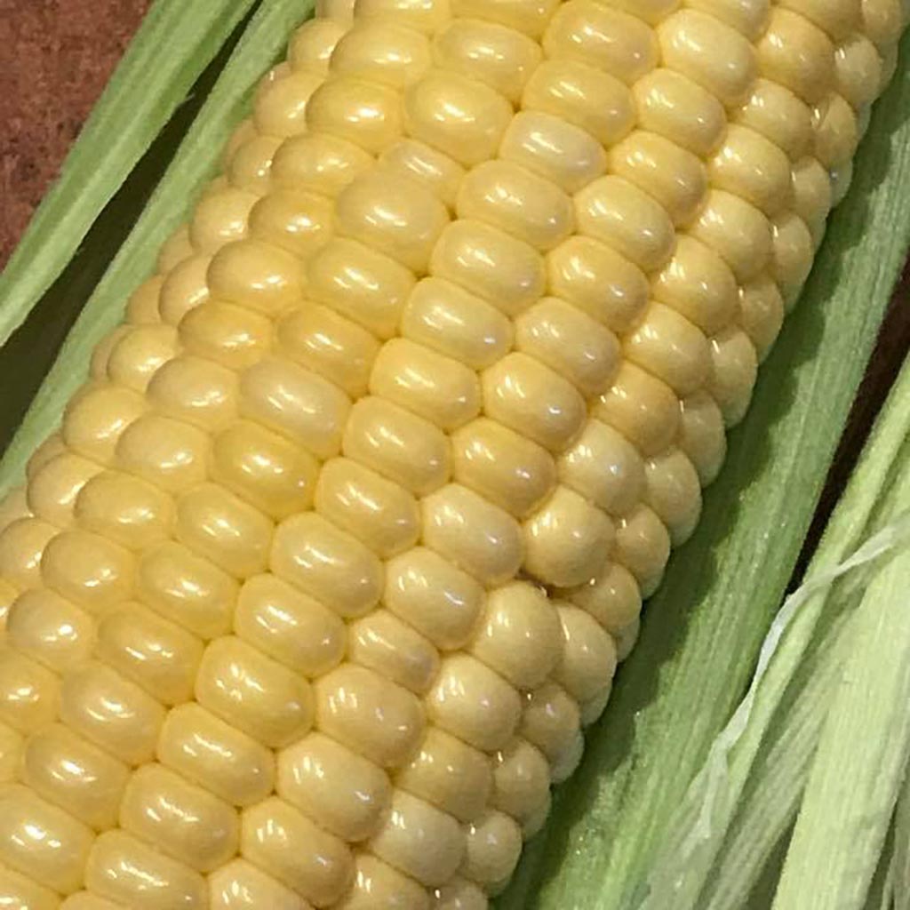 img for Sweet Corn