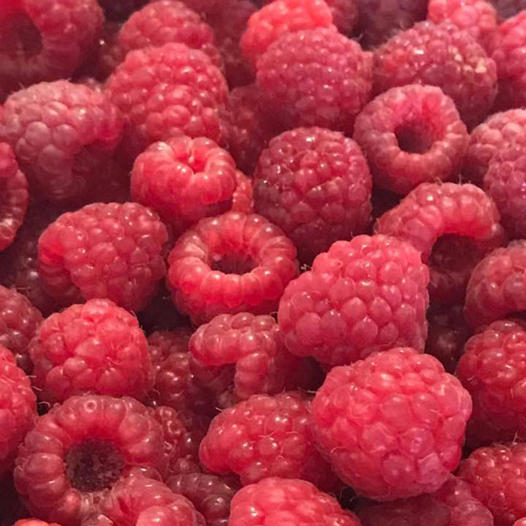 img for Fall Raspberries