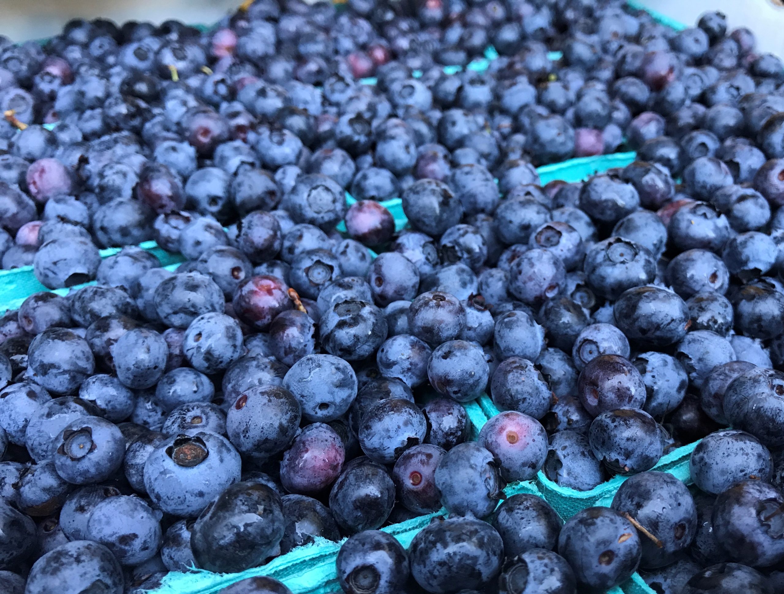 img for Blueberries