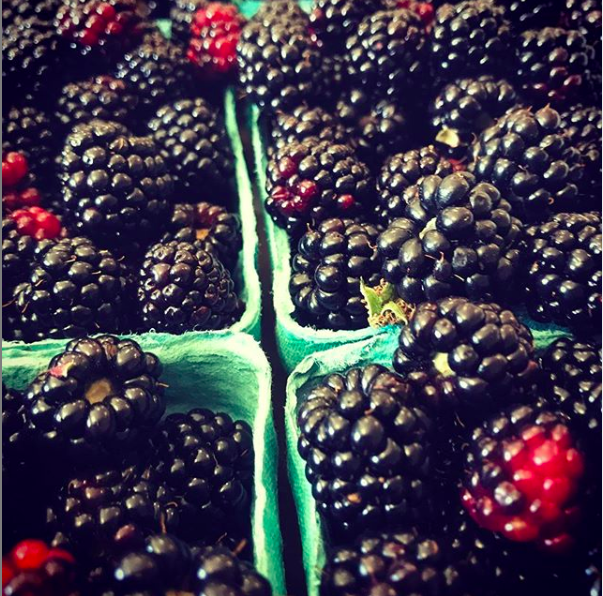 img for Blackberries