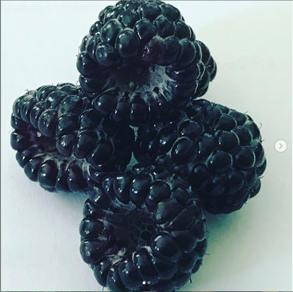 img for Black Raspberries